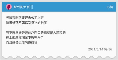 踩到狗大便號碼|【踩到狗大便幾號】踩到狗大便「運」勢好？！中獎號碼意外解。